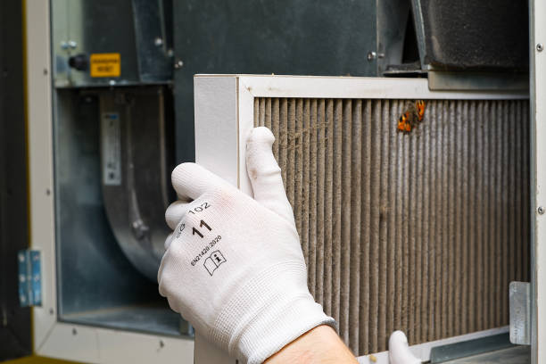 Best Local Air Duct Cleaning Services  in Los Luceros, NM