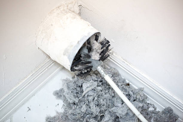 Best Residential Air Duct Cleaning  in Los Luceros, NM